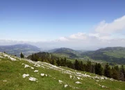 Aussicht vom Dent de Vaulion