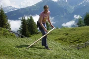 Graurindzüchterin Anna Strickner aus Gries am Brenner bei ihrer täglichen Arbeit