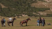 Corse, extrait