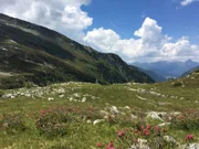Alm bei Vals