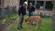 Game Warden Benny Richards and Rehabilitation center worker observing a previously rescued tortoise.
