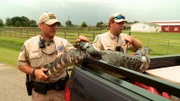 Game Wardens put the crocodile in the trailer.