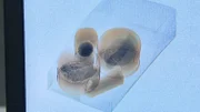 A suspicious package is seen on an x-ray image at the Miami International Mail Facility. (National Geographic/Lucky 8 TV)
