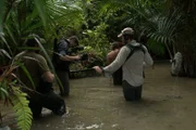 Copper Canyon, Mexico - Director Simon Muriel, Alex, and Christopher, film Hazen looking for eels in a river.