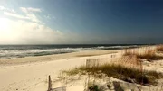 John und Mariah wollen ihre Rinderfarm in Alabama verlassen und ihr anstrengendes Leben zwischen Medizinlabor, Ingenieurbüro und Rinderzucht gegen ein entspannteres auf Ono Island eintauschen. Die 9 Kilometer lange Insel im Golf von Mexiko bietet tropisches Flair, herrliche Sandstrände und klares Wasser. Das Paar schätzt die Ruhe dieses beschaulichen Eilands, aber auch die schnelle Möglichkeit auf Action und Abwechslung am Orange Beach. Die größte Herausforderung ist es nun, ein Haus zu finden, das ihrer sehr speziellen Wunschliste entspricht.