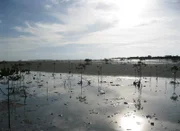 Strahlende Sonne auf den Philippinen