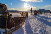 Abenteuer Lappland: Die Husky-Tour des Lebens