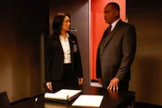 Rocky Carroll als NCIS Director Leon Vance.