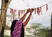 Frau hängt geschnittenes Ziegenfleisch zum Trocknen auf in Mbalambala, Kenia