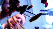 Fall "Die Knochenleser": Diplom-Biologe Dr. Jens Amendt aus Frankfurt versucht mit seiner Arbeit zur Aufklärung der Morde beizusteuern.