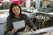 Joan Watson (Lucy Liu) versucht, mit ihrer Enttäuschung über Mycroft fertig zu werden. Doch dann erfährt sie etwas, das ihn in einem anderen Licht erscheinen lässt ...