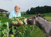 SRF bi de Lüt
Landfrauenküche - Romana Zumbühl, Altbüron/LU
Folge 4
Romana Zumbühl