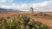 Früher lebten die Bewohner von Fuerteventura vom Ertrag ihrer Mühlen.