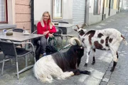 Nicole Berchtold sitzt in einem Luzerner Café.