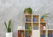 Das junge Paar legt bei der Einrichtung äußerst hohen Wert auf Stil und moderne Elemente. Wird es Jo und Chip gelingen, ihren Kunden ein neues zu Hause zu schenken, indem sie sich für immer wohlfühlen?