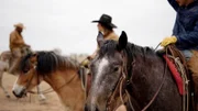 Fremder Stern Texas – Mehr als Cowboys, Öl und Wilder Westen Cowboys und Delfine In Texas treffen Moderne und Traditionen unmittelbar aufeinander.