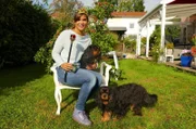 Die Vorfahren der Cavalier King Charles Spaniels waren Begleithunde des britischen Hochadels.