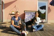 Anjas Cavalier King Charles Spaniels weichen nie von ihrer Seite.