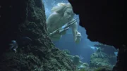 Lyla (Lucy Fry) versteckt den Dreizack in einer Unterwasser-Höhle.