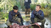 Cam (Tamara Taylor) und Hodgins (TJ Thyne) finden heraus, dass das Opfer offenbar vor seinem Tod eingefroren wurde.