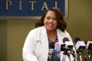 Im Krankenhaus geben Meredith und Nathan eine Pressekonferenz zur Rettung im Flugzeug. Unter den Gästen ist neben den Journalisten auch Catherine. Bailey (Chandra Wilson) stellt fest, dass zwischen Catherine und Webber noch immer Funkstille herrscht und beschließt alles zu geben, um deren Beziehung wieder zu kitten ...