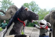 Im Zoo sind Wolle und Pferd auf der Suche nach einem passenden Haustier.
