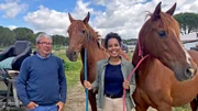 Cristobal hat die Marismeño-Pferde Loca und Antonia gezähmt und ihnen das Kutscheziehen beigebracht.
