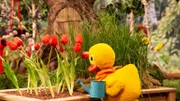 Schnatterinchen pflegt ihre Blumen.