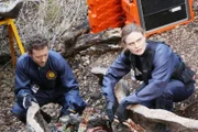Hodgins (TJ Thyne) und Brennan (Emily Deschanel) versuchen die Identität einer stark verwesten Leiche zu klären, die im Wald in einem ausgehöhlten Stamm gefunden wurde.
