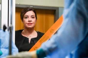 Dr. Garcia (Alison Araya)
