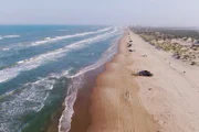Fremder Stern Texas – Mehr als Cowboys, Öl und Wilder Westen Rodeo und Rio Grande Auch kilometerlange Sandstrände sind in Texas zu finden.