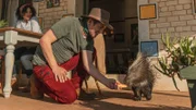 Kaum in Südafrika gelandet, hat Fritz Fuchs (Guido Hammesfahr) schon Freundschaft mit dem Stachelschwein Cookie geschlossen, eines der vielen Tiere auf Kiras (Thandi Sebe, li.) Farm.