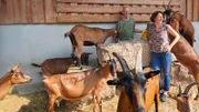 Auf dem Berghof von Monika und Wolfgang Schudt im bayerischen Spessart wird viel gemeckert. Denn hier dreht sich fast alles um Ziegen. Die Milch von 200 Muttertieren verarbeiten die Beiden hier zu besonderen Käse-Kreationen.