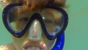 Patrick schnorchelt im Meer und entdeckt dabei ganz viele Fische.