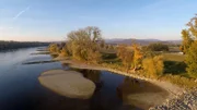 Aus der Donau und ihren Nebenflüssen kommt kaum noch Fisch auf den Tisch.