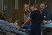 Versuchen, Megan (Abigail Spencer, l.) nach ihrer unerwarteten Rückkehr zu helfen: Teddy (Kim Raver, 2.v.l.), Meredith (Ellen Pompeo, 2.v.r.) und Owen (Kevin McKidd, r.) ...