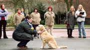 Nancy (Livia S. Reinhard, vo.) absolviert mit Hund Roxy einen Test, um im Rahmen einer Blindenhundausbildung mit ihm zusammen bleiben zu dürfen.