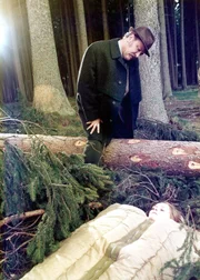 Eine Mädchenleiche im Schlafsack wurde von Waldarbeitern unter einem Haufen von Tannenzweigen gefunden. Für Kriminaloberinspektor Veigl (Gustl Bayrhammer) beginnt damit ein neuer, schwieriger Fall.