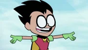 Robin