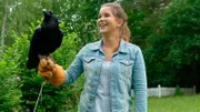 Kolkraben sind die größten Rabenvögel in Deutschland. Weiteres Bildmaterial finden Sie unter www.br-foto.de.