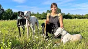 Da Galgos Jagdhunde sind, sollte man sie in Gegenden, wo es Wildtiere gibt, an der Leine lassen. Weiteres Bildmaterial finden Sie unter www.br-foto.de.