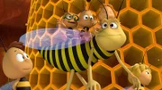 Piekser kümmert sich um die Bienchen.