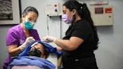 Dr. Lee is in the middle of removing a head lump from Shawnell Hauschka.