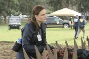 Brennan (Emily Deschanel) Brennan (Emily Deschanel)