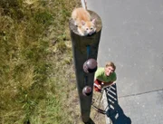 "Na los, spring!" Fritz Fuchs (Guido Hammesfahr) versucht das kleine Kätzchen vom Mast zu retten.