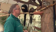ARD/NDR LEOPARD, SEEBÄR UND CO., Folge 119, "Honigtag im Tierpark Hagenbeck", am Montag um 16:10 Uhr im ERSTEN. Die Tamarine und Sakis werden mit Obst von Thomas Feierabend gefüttert.