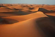 Die Sahara ist eine der trockensten Gegenden der Erde. Trotzdem hat es hier einst Wasser gegeben. Fl&uuml;sse und B&auml;che durchzogen die Landschaft und sorgten f&uuml;r &uuml;ppiges Gr&uuml;n.