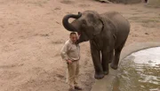 ARD/NDR LEOPARD, SEEBÄR UND CO., Folge 117, "Weight Watchers" in Kattahausen, am Donnerstag um 16:10 Uhr im ERSTEN. Die Elefantendame Shila stupst Thorsten Köhrmann an.