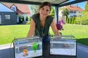 Anna vor Aquarien mit Urzeitkrebsen. Weiteres Bildmaterial finden Sie unter www.br-foto.de.