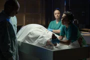 DS Roy Grace (John Simm, l.), Cleo (Zoë Tapper, 2.v.r.) und Nadiuska De Sancha (Carolina Valdés, r.) bei der Obduktion der Leiche des stadtbekannten Einbrechers Shelby Stoner (Daniel Fearn, 2.v.l.): Wie konnte er in Brighton durch den Biss einer exotischen Schlange getötet werden?